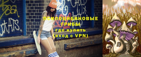 индика Новокубанск