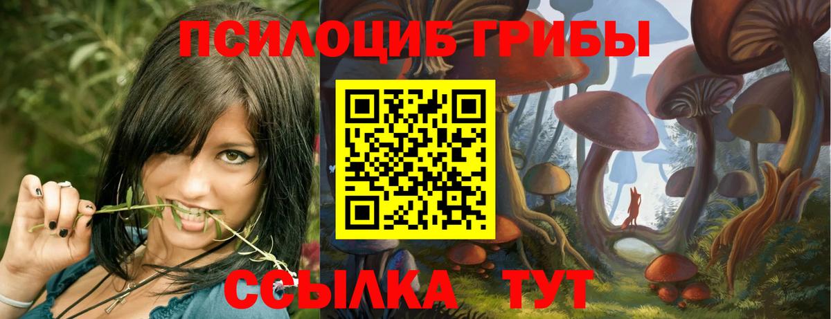 Псилоцибиновые грибы прущие грибы Бутурлиновка